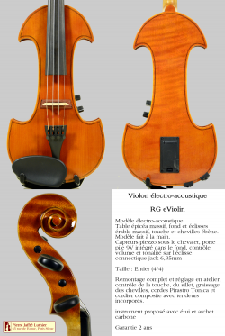 RG eViolin (Violon électro-acoustique)