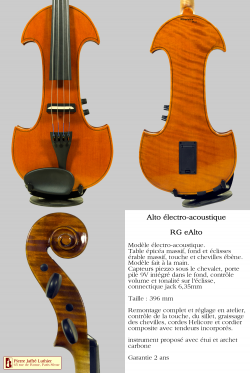 RG eAlto (Alto électro-acoustique)