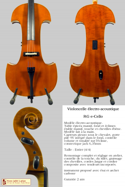 RG eCello (Violoncelle électro-acoustique)